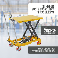 Scissor Lift Trolley 450x700mm (150kg capacity) - Single Scissor