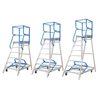 Access Platform Ladders