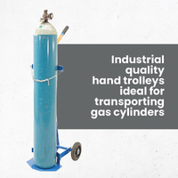 Single and Double Cylinder Trolley