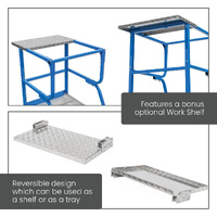 Access Platform Ladders