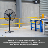 Pedestal Industrial Fan