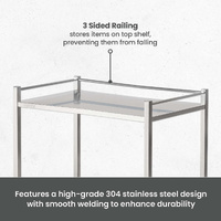 Double Stainless Steel Instrument Trolley (with Rails & No Drawer)