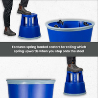 Rolling Plastic Step Stool