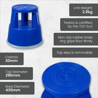 Rolling Plastic Step Stool