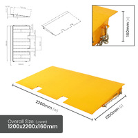 6 Tonne Capacity One Piece Container Ramp