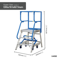 Access Platform Ladders