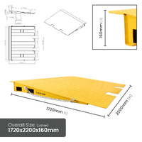 8 Tonne Capacity 1 Piece Container Ramp