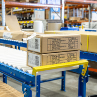 600mm Wide Conveyor Kit (Steel Rollers)
