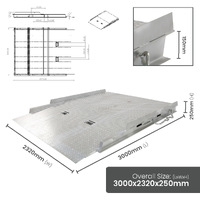 10 Tonne Heavy Duty Container Ramp (Extra Long)
