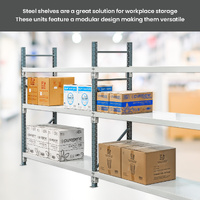 Heavy Duty Steel Longspan Shelving (450mm Deep)
