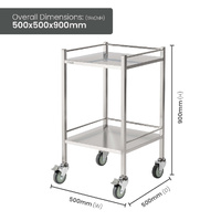 Single Stainless Steel Instrument Trolley (with Rails & No Drawer)