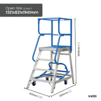 Access Platform Ladders