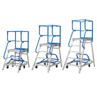 Access Platform Ladders
